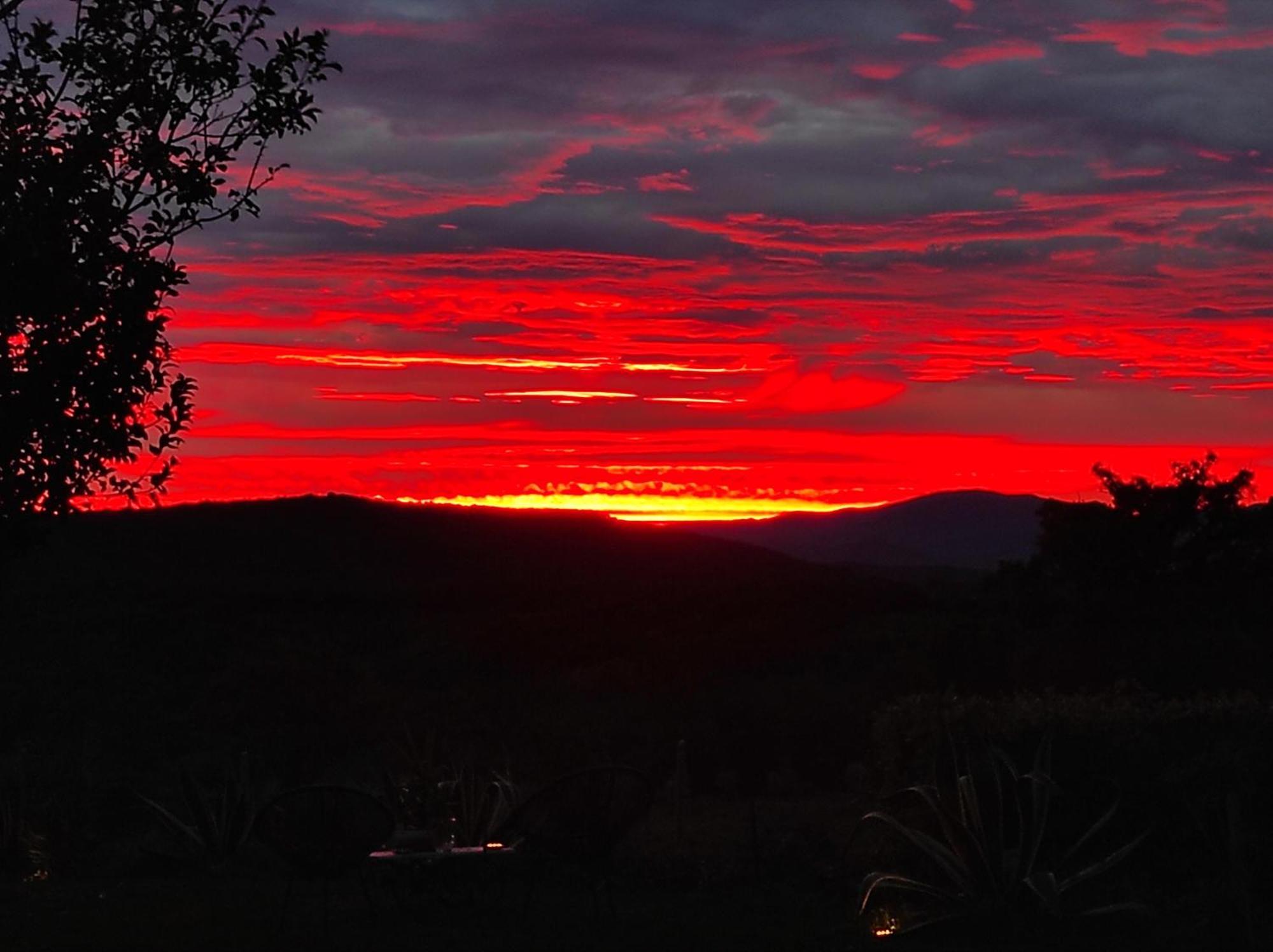Agriturismo Podere Le Palaie Monterotondo  Quarto foto