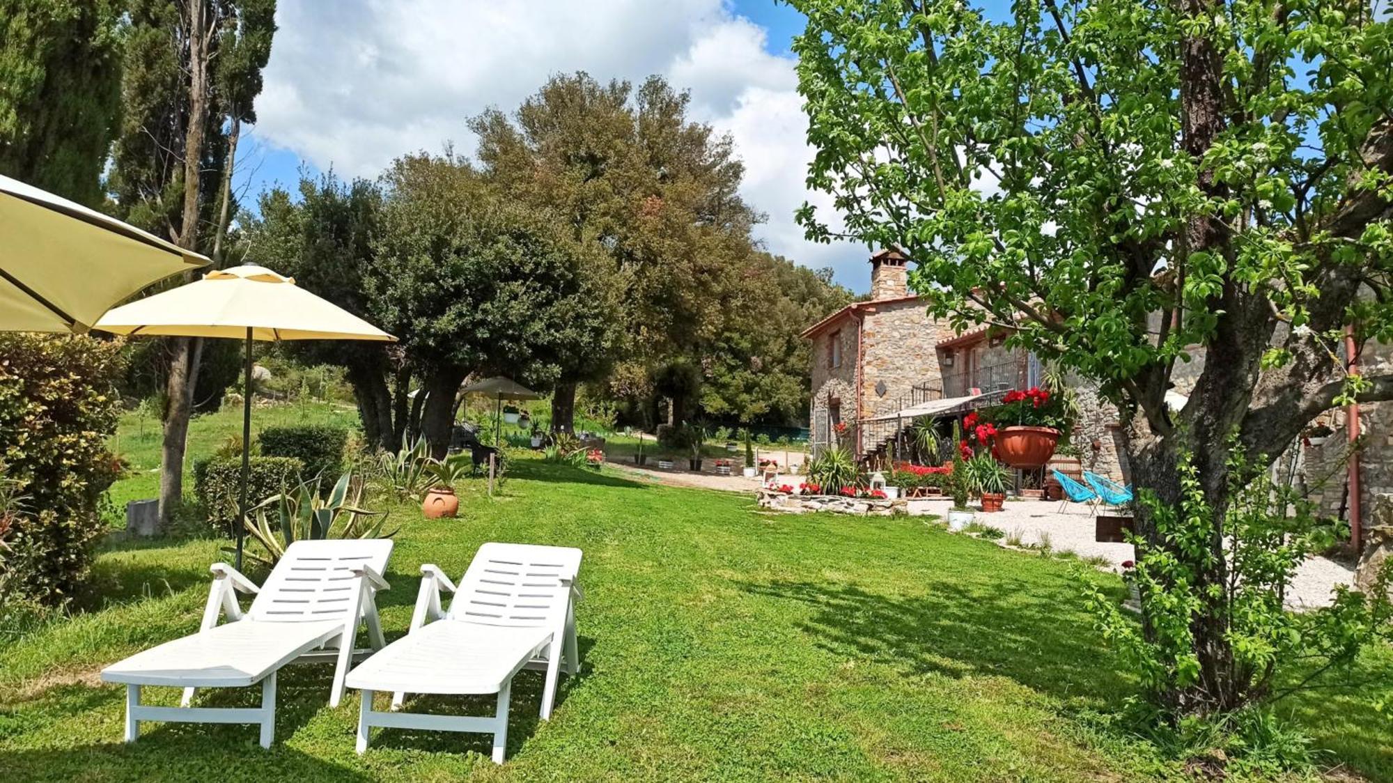 Agriturismo Podere Le Palaie Monterotondo  Quarto foto
